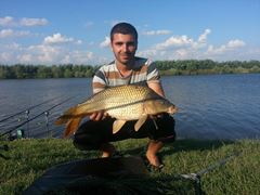 fish